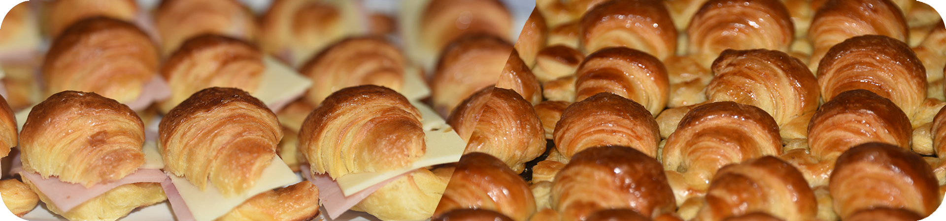 Panadería, confitería, bizcochos, croissant, pan, galletas, saladitos,jesuitas,arrolladitos, medialunas